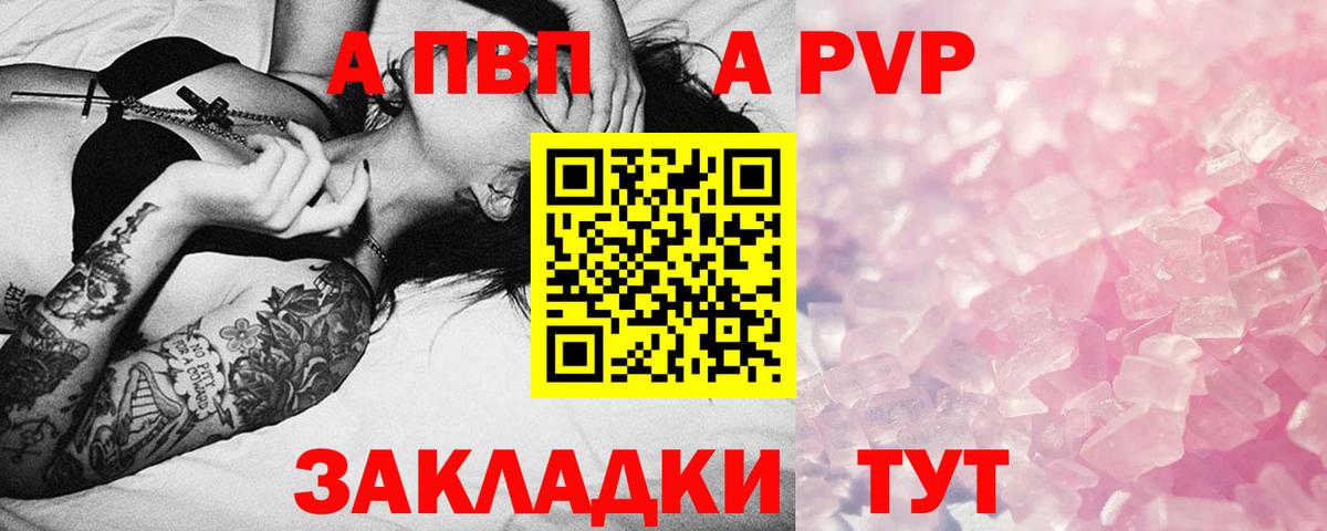 Альфа ПВП СК Ярославль