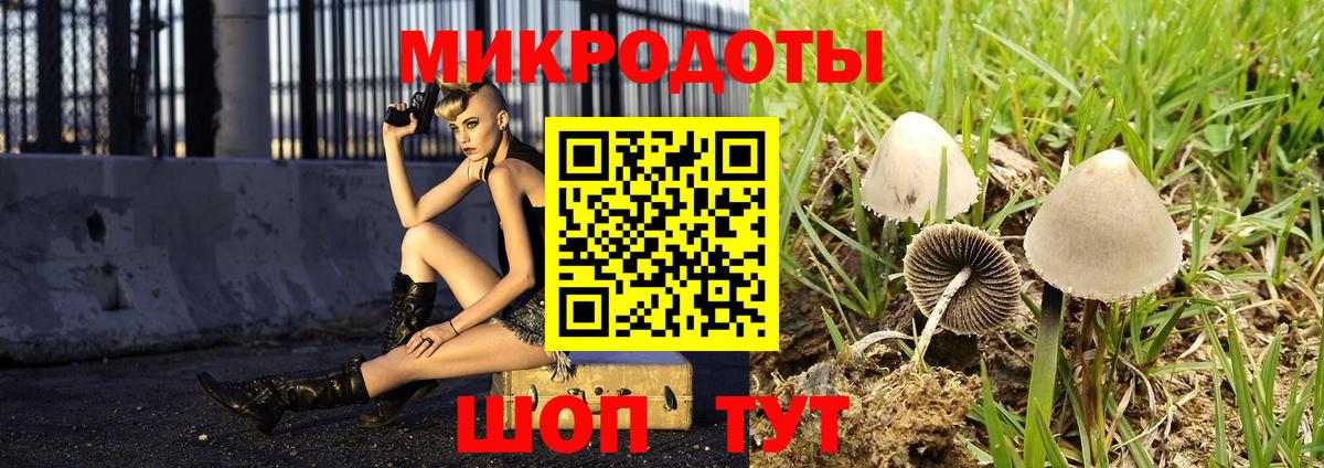 Галлюциногенные грибы GOLDEN TEACHER  Вход с VPN  Ярославль  Галлюциногенные грибы мухоморы 